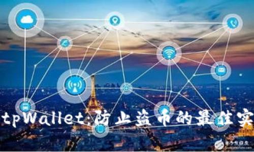 如何安全使用tpWallet：防止盗币的最佳实践与应对策略