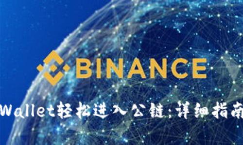 如何通过tpWallet轻松进入公链：详细指南与实用技巧