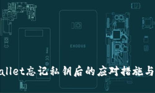 tpWallet忘记私钥后的应对措施与建议