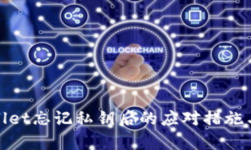 tpWallet忘记私钥后的应对措施与建议