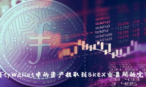 如何将tpWallet中的资产提取到BKEX交易所的完整指南
