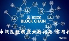 如何应对比特币钱包数据庞大的问题：实用指南