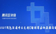 为什么USDT钱包没有中文支持？解析背后的原因与