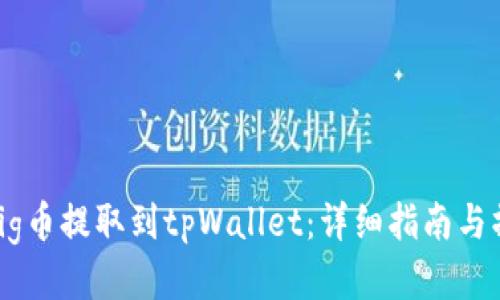 如何将Pig币提取到tpWallet：详细指南与操作步骤