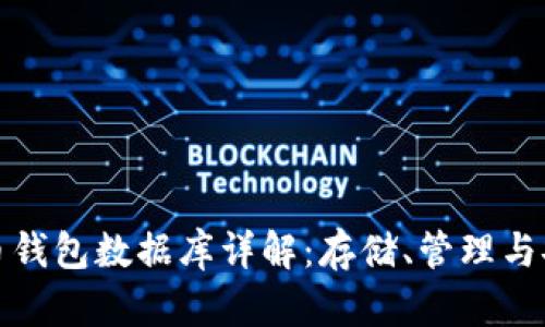 比特币钱包数据库详解：存储、管理与安全性