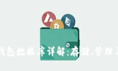 比特币钱包数据库详解：存储、管理与安全性