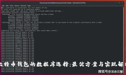 比特币钱包的数据库选择：最优方案与实现解析
