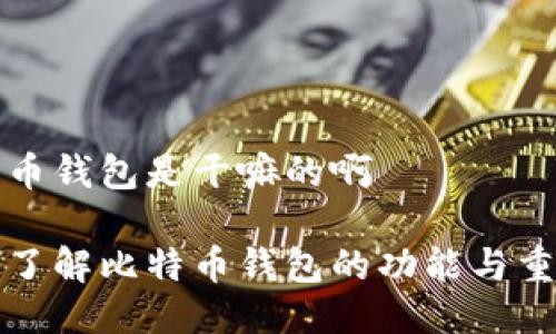 比特币钱包是干嘛的啊

深入了解比特币钱包的功能与重要性