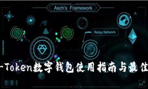 OTC-Token数字钱包使用指南与最佳实践
