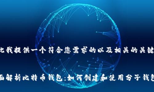 在此我提供一个符合您需求的以及相关的关键词。


全面解析比特币钱包：如何创建和使用分子钱包
