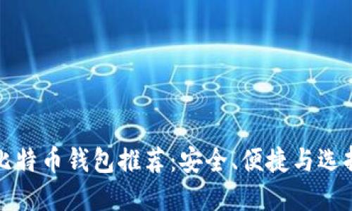 最佳比特币钱包推荐：安全、便捷与选择指南