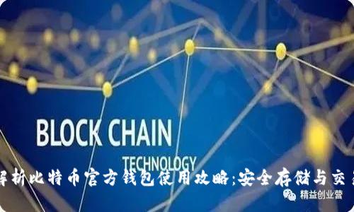 全面解析比特币官方钱包使用攻略：安全存储与交易指南