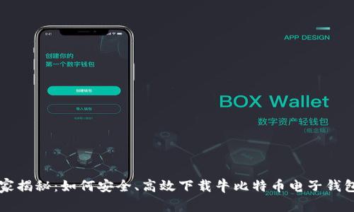 专家独家揭秘：如何安全、高效下载牛比特币电子钱包的秘诀