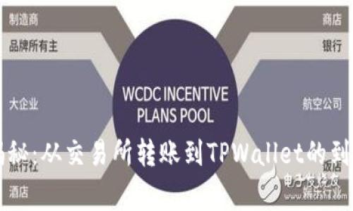 专家揭秘：从交易所转账到TPWallet的到账秘诀