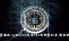 专家揭晓：tpWallet充值TR