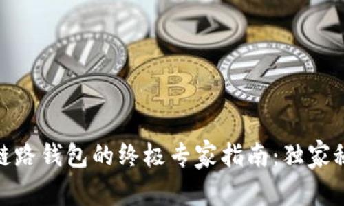 USDT不同链路钱包的终极专家指南：独家秘诀大公开！