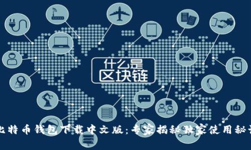 比特币钱包下载中文版：专家揭秘独家使用秘诀