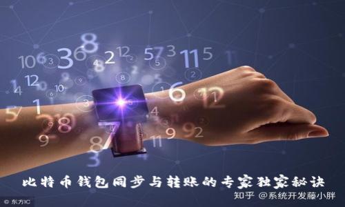 比特币钱包同步与转账的专家独家秘诀