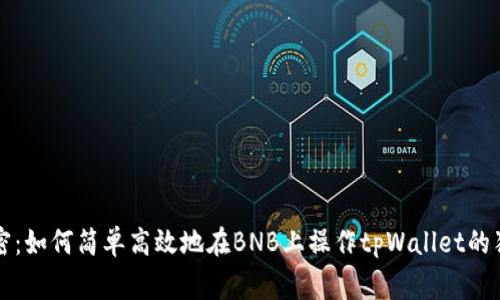 专家揭密：如何简单高效地在BNB上操作tpWallet的独家秘诀