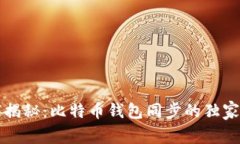 专家揭秘：比特币钱包同