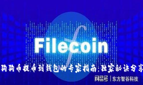 狗狗币提币到钱包的专家指南：独家秘诀分享