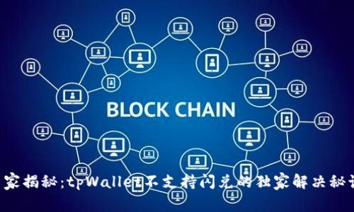 专家揭秘：tpWallet不支持闪兑的独家解决秘诀！
