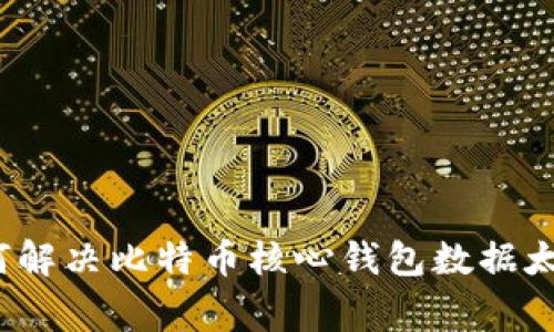 专家揭秘：如何解决比特币核心钱包数据太大的独家秘诀