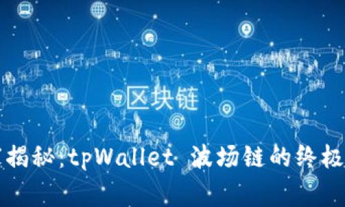 专家独家揭秘：tpWallet 波场链的终极使用秘诀
