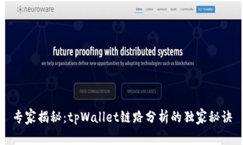 专家揭秘：tpWallet链路分析的独家秘诀
