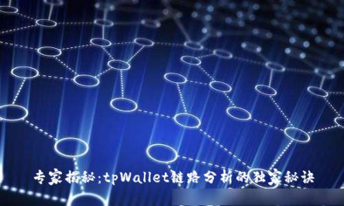 专家揭秘：tpWallet链路分析的独家秘诀