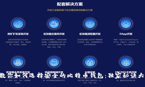 专家教你如何选择安全的比特币钱包：独家秘诀大公开！