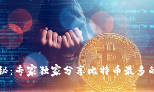 比特币钱包地址揭秘：专家独家分享比特币最多的钱包地址及其秘诀