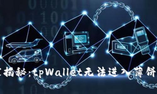 ### 专家独家揭秘：tpWallet无法进入薄饼的终极解决秘诀