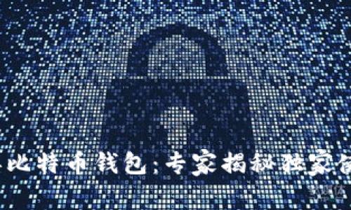 2015年比特币钱包：专家揭秘独家使用秘诀