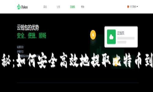 专家独家揭秘：如何安全高效地提取比特币到钱包的秘诀