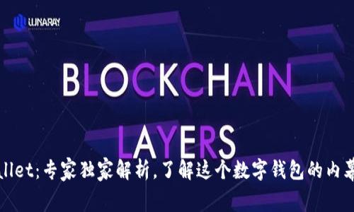 tpWallet：专家独家解析，了解这个数字钱包的内幕秘诀