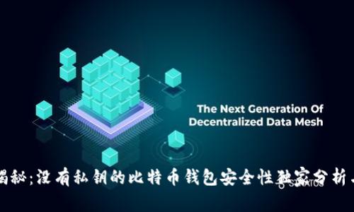 专家揭秘：没有私钥的比特币钱包安全性独家分析与秘诀