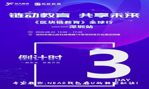 专家教你：NEAR钱包存U的独家秘诀！