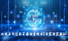 比特币钱包能否存储莱特