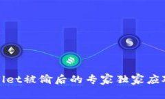 tpWallet被偷后的专家独家应