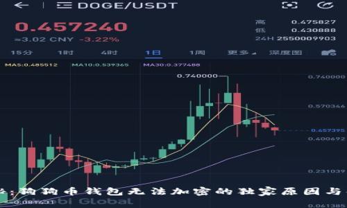 专家揭秘：狗狗币钱包无法加密的独家原因与解决秘诀