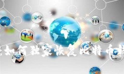 专家揭秘：如何独家恢复比特币钱包的秘诀