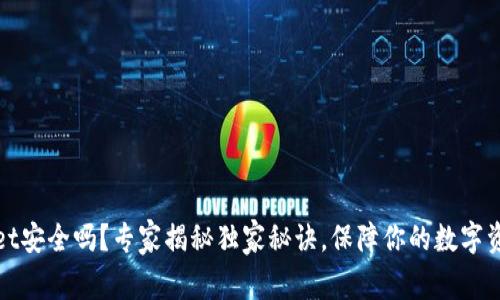 tpWallet安全吗？专家揭秘独家秘诀，保障你的数字资产安全