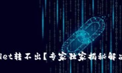 tpWallet转不出？专家独家揭