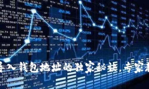 小狐狸钱包导入钱包地址的独家秘诀，专家教你轻松操作
