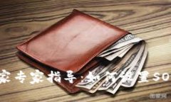 tpWallet独家专家指导：如何