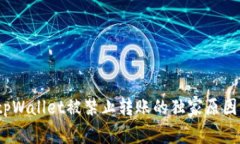 专家揭秘：tpWallet被禁止转