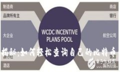 专家独家揭秘：如何轻松