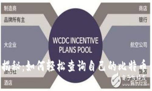 专家独家揭秘：如何轻松查询自己的比特币钱包信息？