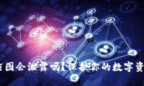 USDT钱包截图会泄露吗？保护你的数字资产安全指南